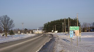 <span class="mw-page-title-main">Wild Rose, Wisconsin</span> Village in Wisconsin, United States