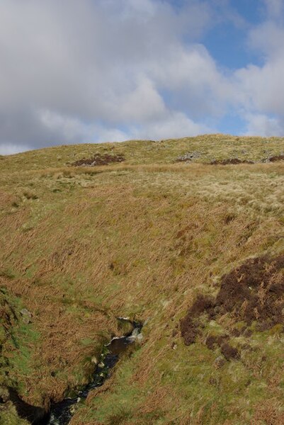 File:Wood Burn south of Craigs Hill - geograph.org.uk - 1216356.jpg