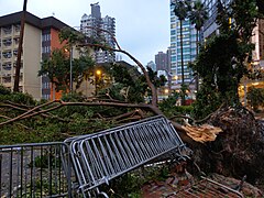 Taifuunin katkaisema tie Hongkongin Causeway Bayssä