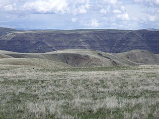 <span class="mw-page-title-main">Zumwalt Prairie</span> Grassland area in northeast Oregon