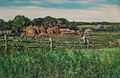 'Ploughmen in a Fenced Field' by Gaines Ruger Donoho.jpg