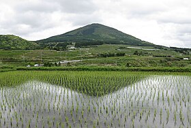 Minamikyushu