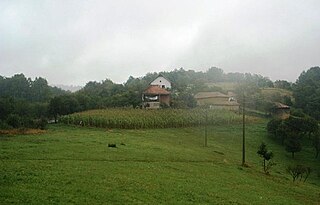 Leskova Bara Village in Pčinja District, Serbia