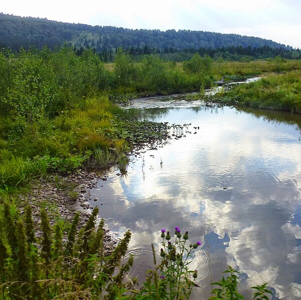 File:Река Бедярыш, Челябинская область - panoramio.jpg