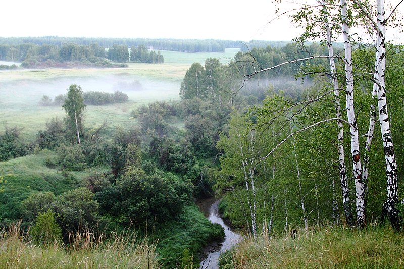 File:Туман после грозы в Щигровской Согре.JPG