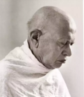 Thumbnail for Kanji Swami