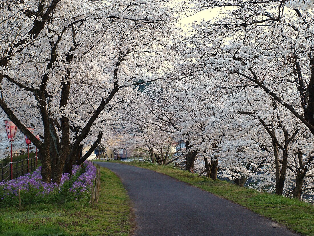 木次町