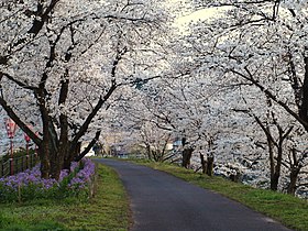 加茂岩倉遺跡