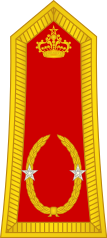 Général de brigade(Royal Moroccan Army)[32]