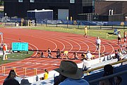 Women's 100m hurdles finals