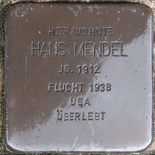 File:2018 08 13 Stolpersteine Straelen Mendel Hans.jpg