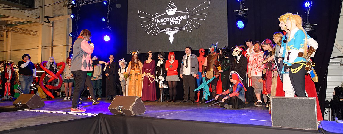 Coupe de France de Cosplay.