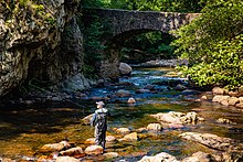 Pesca en el río Leizarán