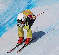 Sebastian Veit beim Team-Ski-Snowboard-Cross-Wettbewerb