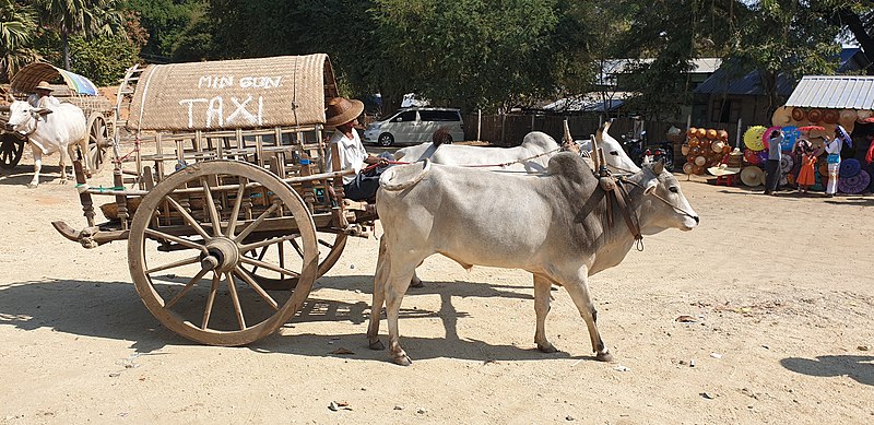 File:20200213 112934 Mingun, Sagaing-Region, Myanmar anagoria.jpg