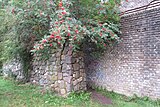 Ziegelmauer und vorgelagerte linke Seitenmauer