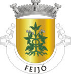 Feijó coat of arms