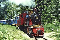 AX Steam Loco Gr336 Kiev ChRW.jpg