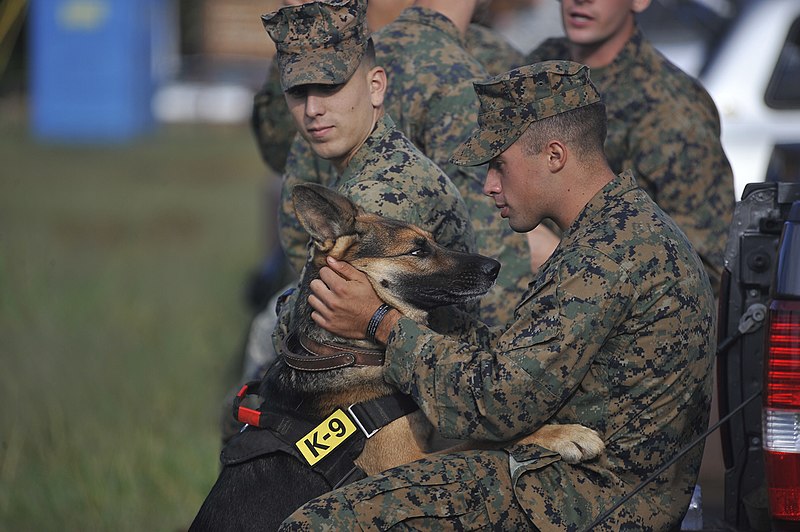File:A Marine embraces his military working dog (5221660702).jpg