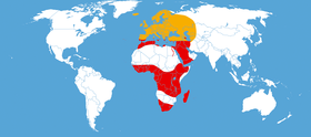Acherontia atropos distribution map.png
