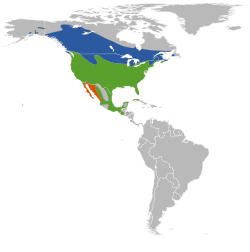 Azul: verano (época de reproducción); Verde: durante todo el año; Anaranjado: invierno (fuera de la época de reproducción)