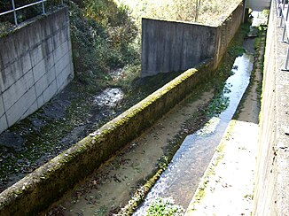 Diè Bifurkation vom Mülligrabè im Summer. S Wasser links wörd übber d Aitrach i d Doonau gleitet, s Wasser rächts zum Schleifèbächle un übber d Wuètè schlièßlich in Rhy.