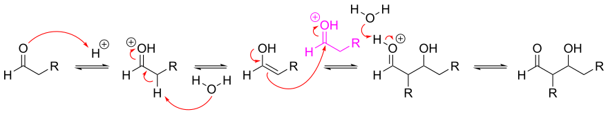 Mechanism for acid-catalyzed aldol reaction of an aldehyde with itself