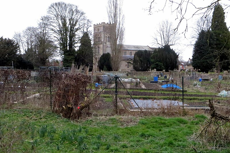 File:Allotments by the church - geograph.org.uk - 5704198.jpg