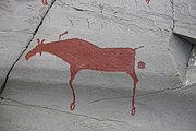 English: Rock art in the world heritage area in Alta, Norway. This is from the area Bergbukten 4b, a group of 195 figures. 22-24 m above sea level, and 6000-7000 years old.