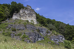 69. Platz: Derzno mit Felsformation an den Bruckwiesen am Pfahlbuck bei Böhming im Naturpark Altmühltal