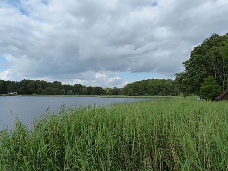 Altwigshagener See Südteil