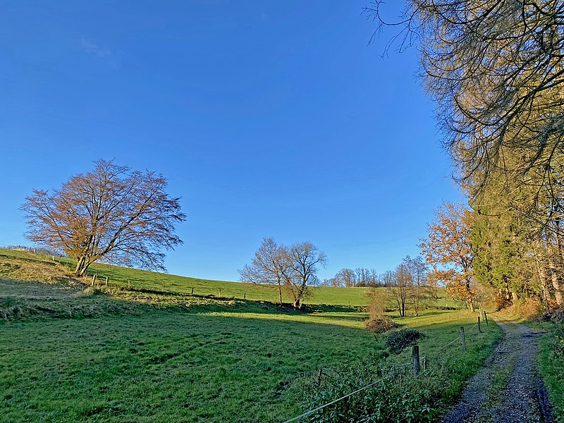 File:Am Drecker Bach aufwärts nach Klespe (Wipperfürth).jpg