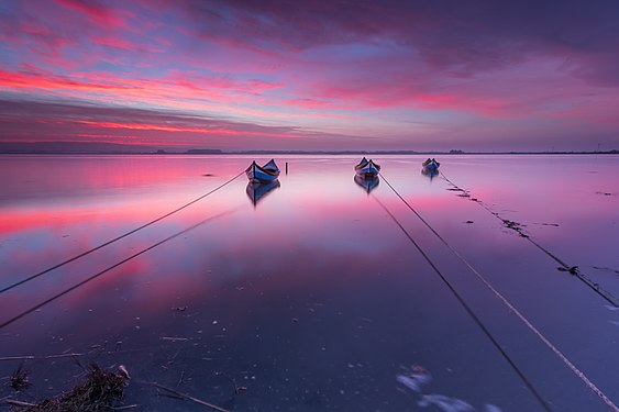 Sunrise at Aveiro Lagoon, Aveiro District Photograph: Andre Carvalho Photography