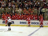 Red Wings bench