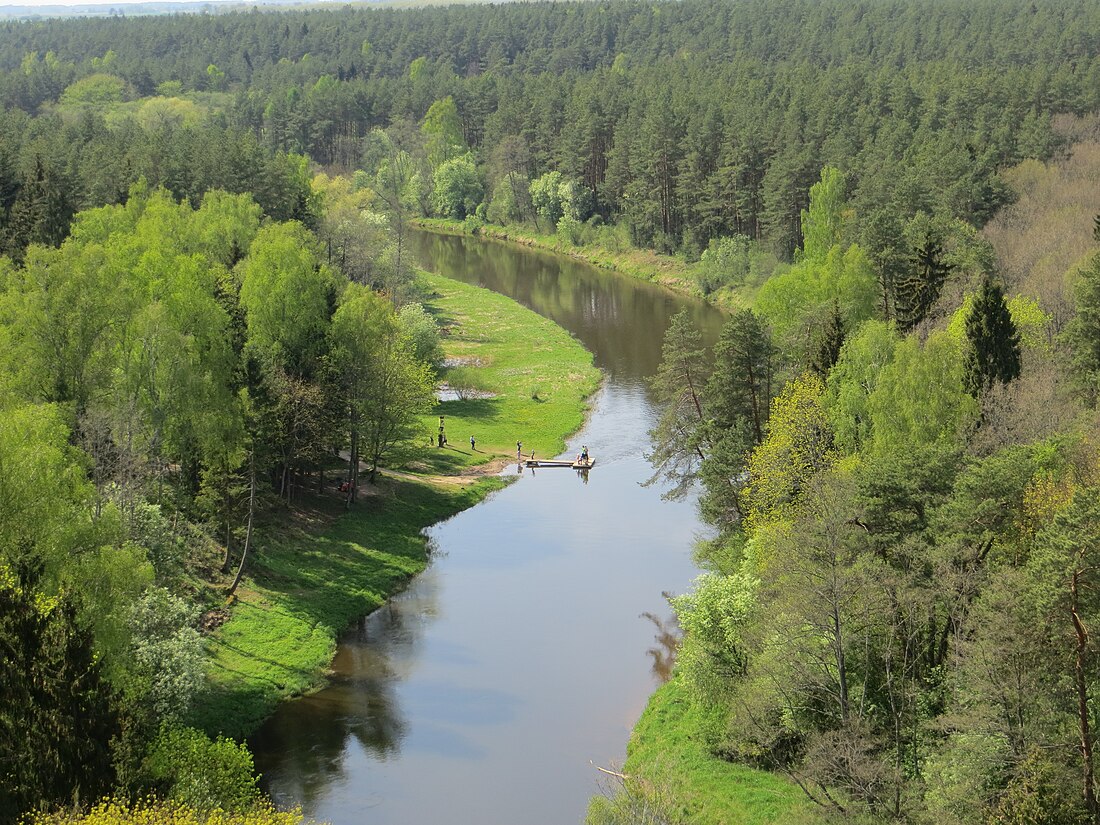 Šventoji (Nerisin sivujoki)