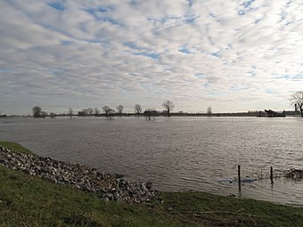 La Meuse à Appeltern.