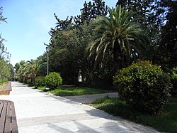 Avenida en el parque