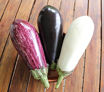 Цветные баклажаны. Aubergine Eggplant. Сорта баклажанов. Разные сорта баклажанов. Разноцветные сорта баклажан.