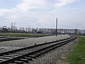 Rampe in Birkenau