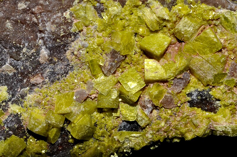 File:Autunite, quartz 1.jpg