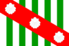 Vlajka Canavieiras
