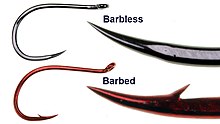 Barbless hook (top) vs. barbed hook (bottom) Barbed vs barbless hooks.jpg