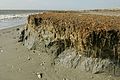Beach erosion effects on coast.jpg