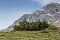 Uitzicht op de bergen vanaf Alp Sesvenna.