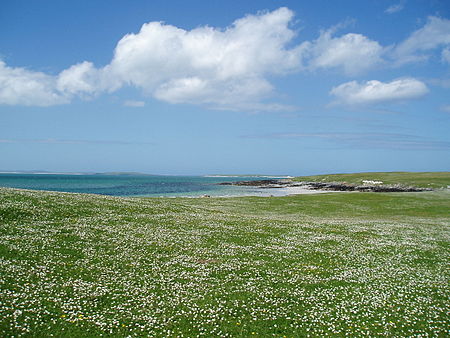 Machair