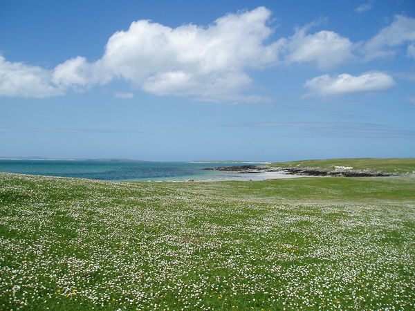 The Machair towards the West beach of Berneray