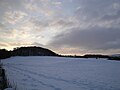 Fields surrounding Newport Road, Bierley, Isle of Wight, seen three days after heavy snowfall occured on the island on 5 January 2010.