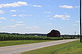 Corn field, Clinton & Braun Rds.