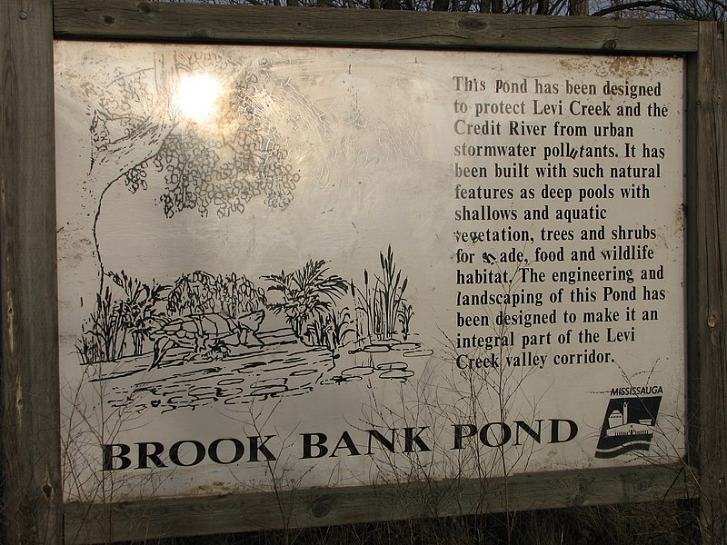 File:Brook Bank Pond, Levi Creek, Mississauga (324952413).jpg