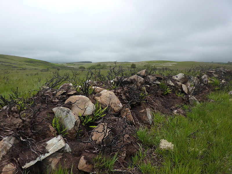 File:Burnt heather on Kilhern Moss (6587413247).jpg